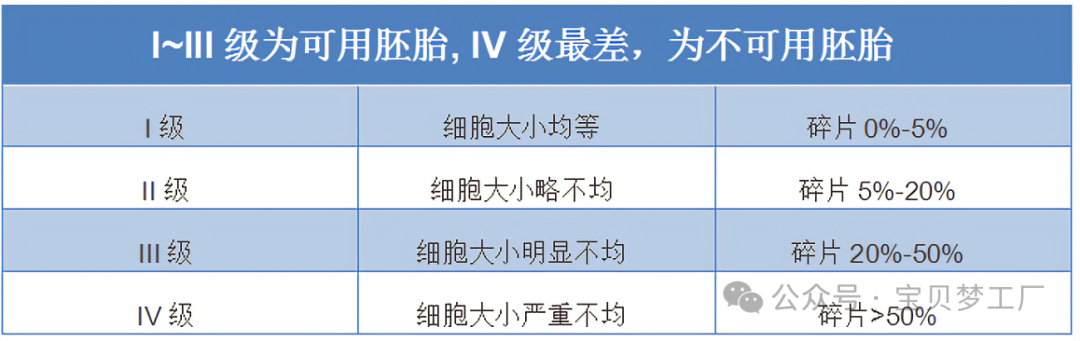 三分钟教你看懂试管婴儿胚胎等级！_美中桥