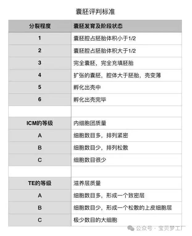 三分钟教你看懂试管婴儿胚胎等级！_美中桥