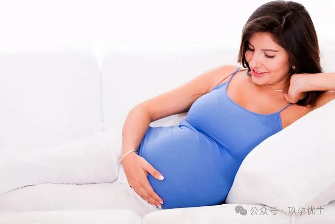 35+试管必看！高龄备孕如何科学提升卵子质量