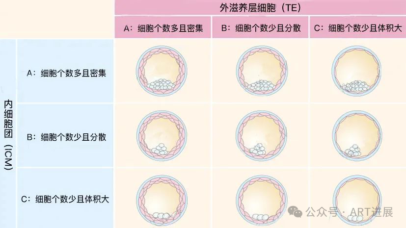 三代试管(辅助生殖) PGT-A 报告如何看？