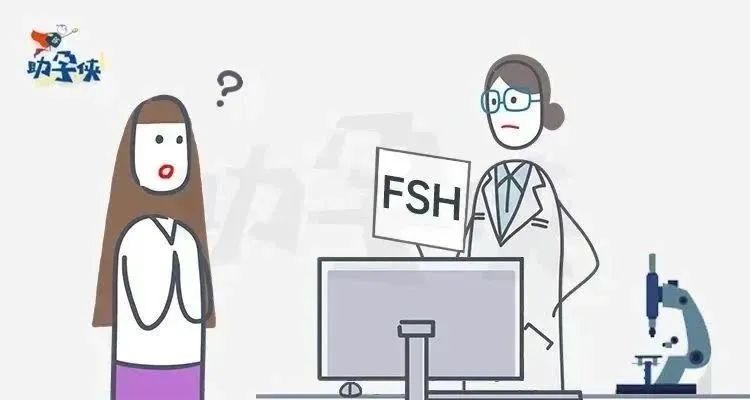 FSH高，卵泡还能不能长得好？关键取决于它！看完心里就有底了