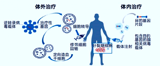 胚胎染色体 0 风险？三代试管精准剔除 90% 遗传病！